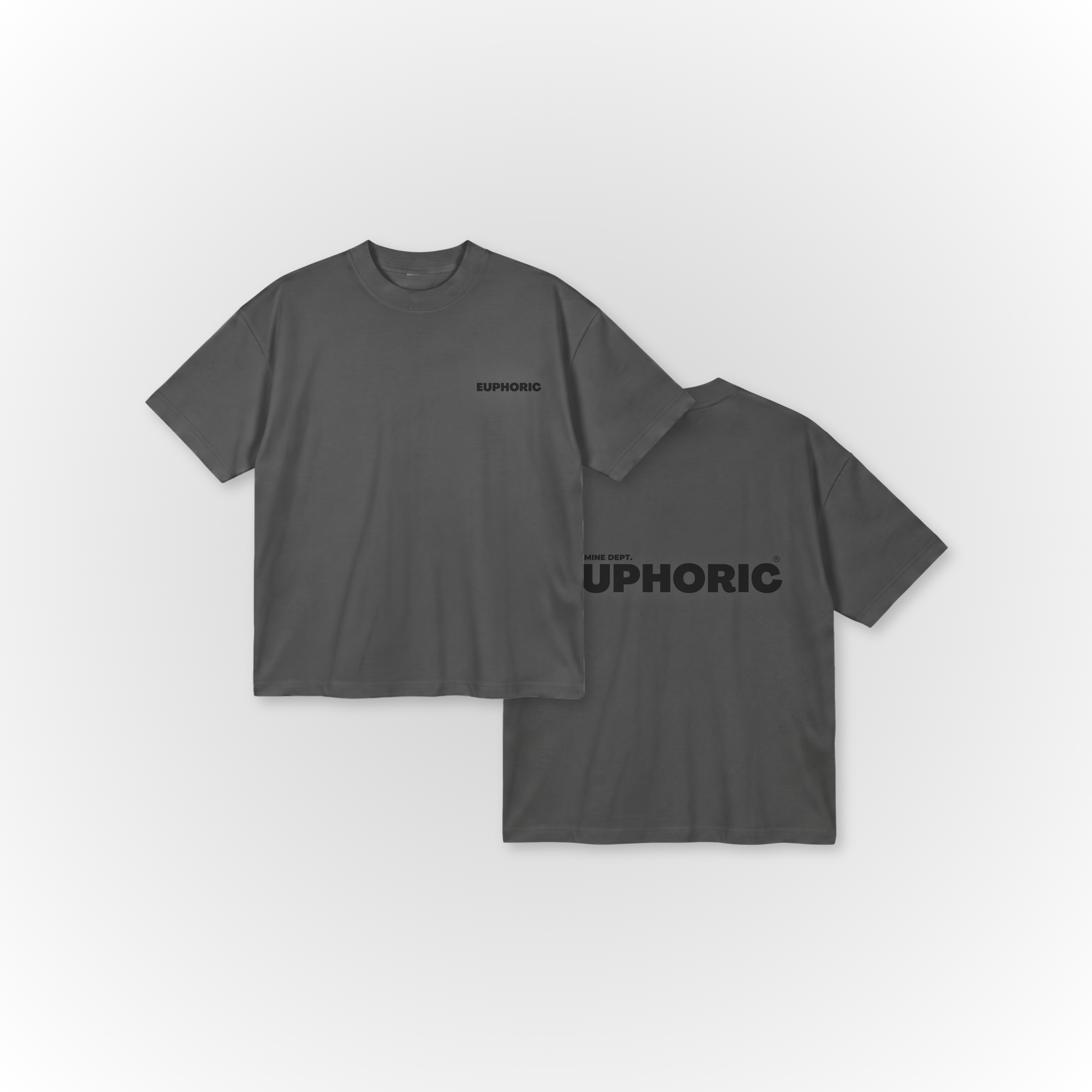 EUPHORIC OVERSIZED T-SHIRT (POPPY SEED GREY)