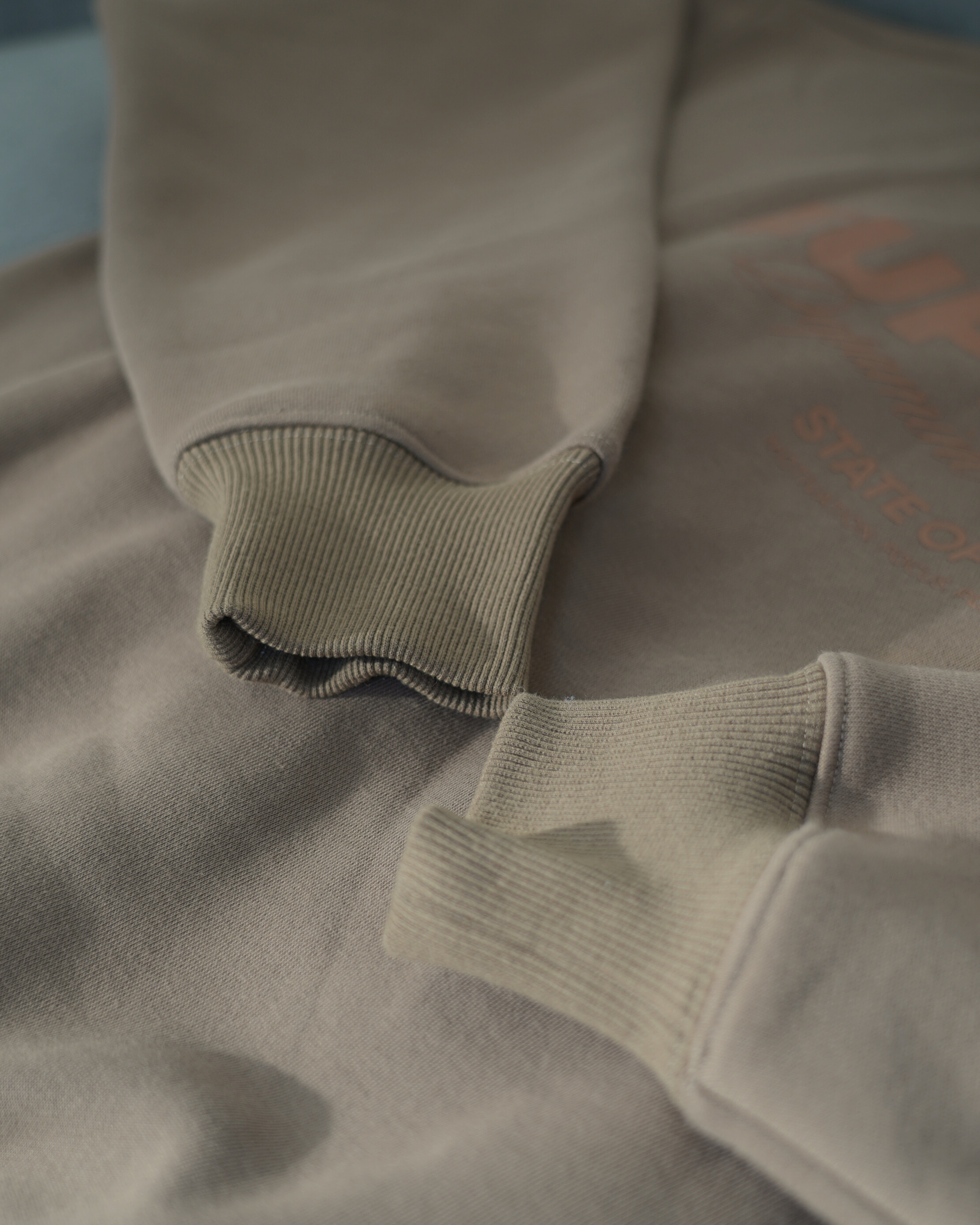 EUPHORIC ESSENTIAL HOODIE. Dopamine Department (MOCHA)